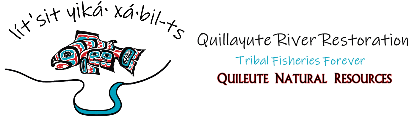 Quillayute River Restoration